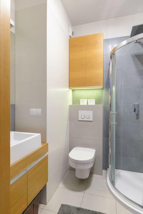 Dabrowskiego Apartment Poznan Luaran gambar
